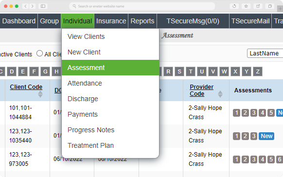 Thears Sof Comprehensive Assessments for Effective Treatment Planning - Therasoft